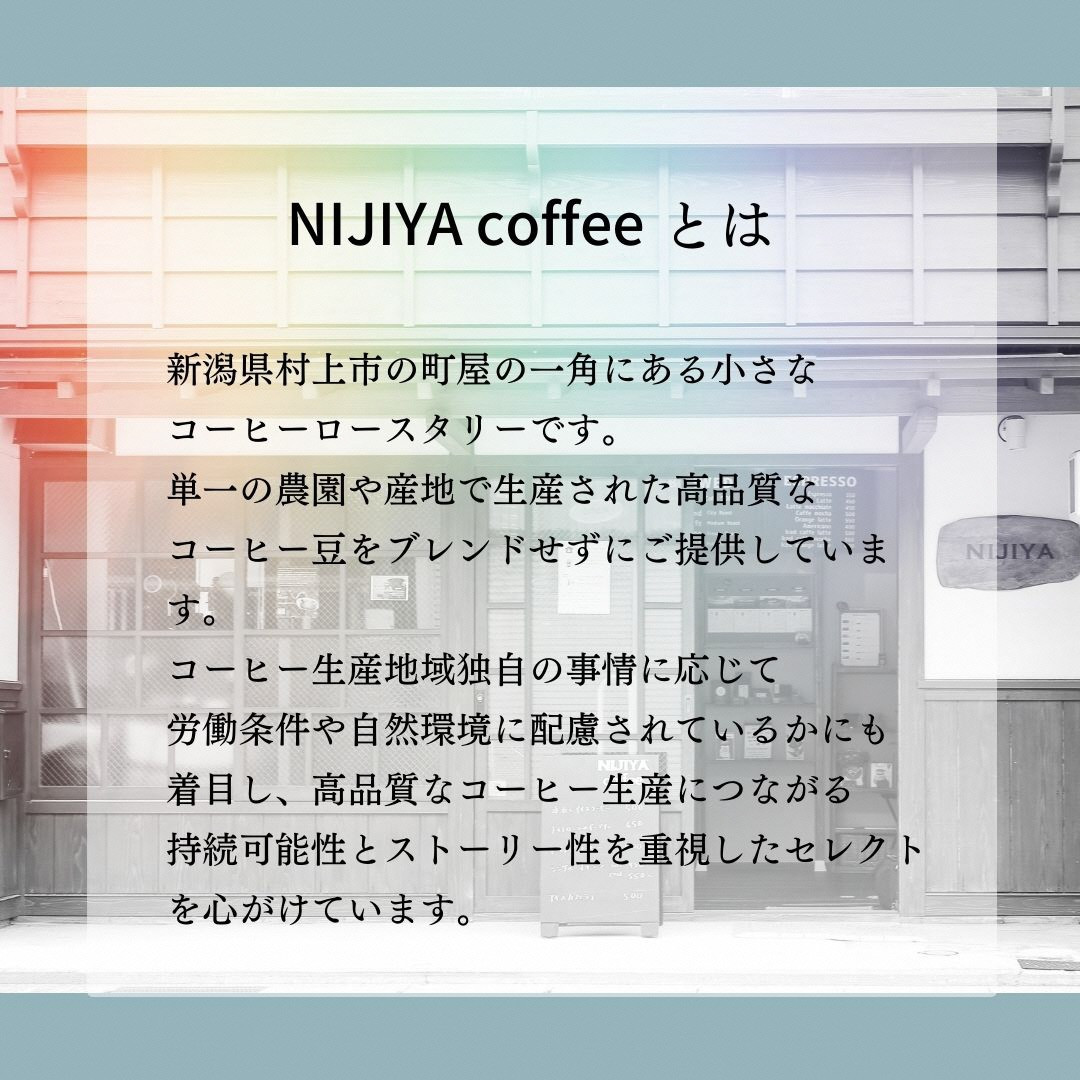コーヒーギフト 高品質 シングルオリジンコーヒー・ドリップバッグ 詰め合わせ 12杯分（専用ギフト箱入り） A4227