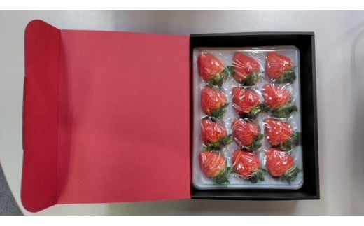 【数量限定】大粒いちご「越後姫」贈答用 12～15粒 約450g　1081005