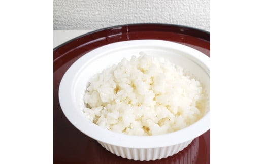 【定期便：3ヶ月連続でお届け】【令和7年産米】新潟県村上市岩船産 棚田米コシヒカリ 6kg（2kg×3袋）+パックごはん(150g×1個)×3ヶ月 1067112