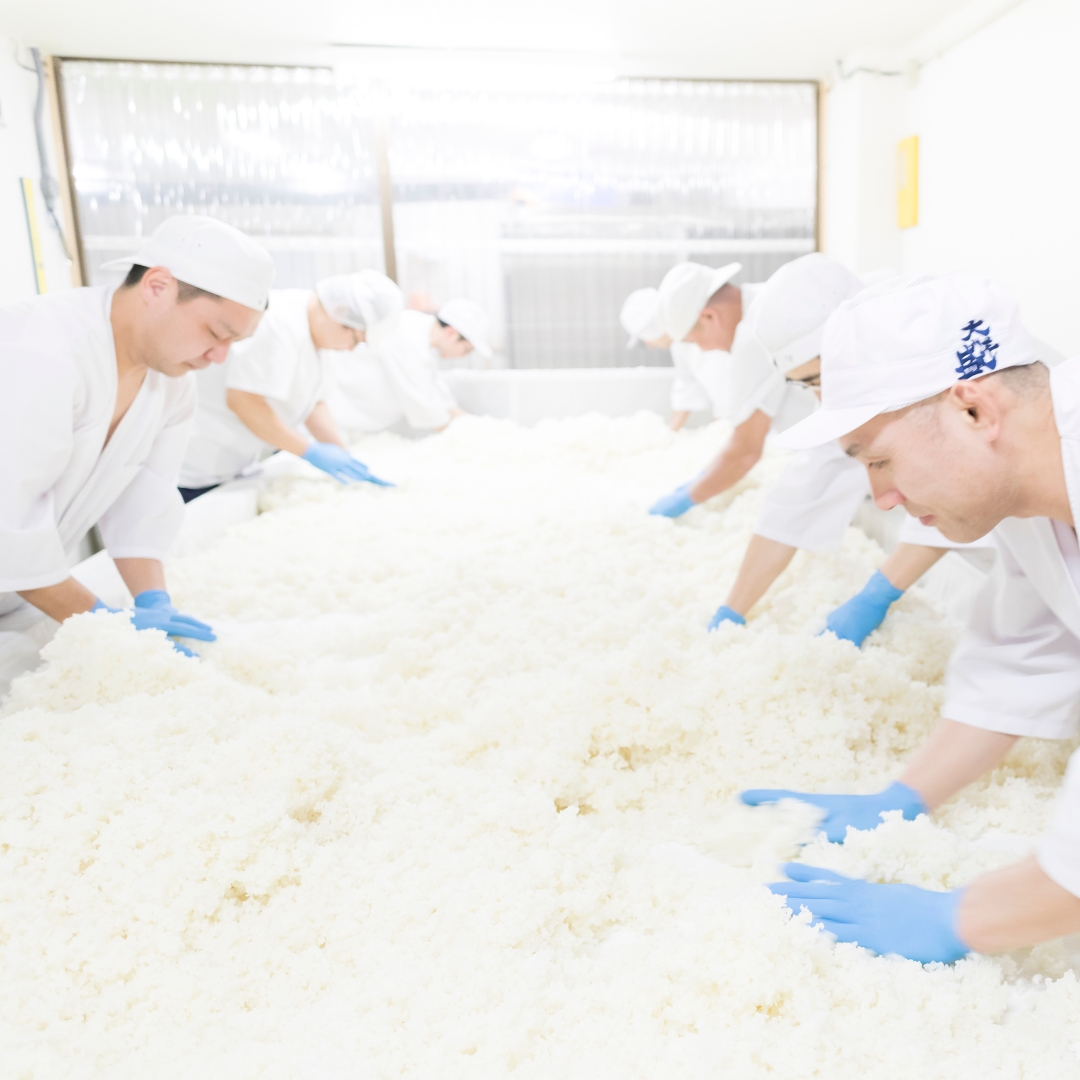 大洋盛セットK 一升瓶 日本酒飲み比べセット 1.8L×2本 純米吟醸・特別本醸造 大洋酒造 新潟県 地酒 清酒 [B4101]