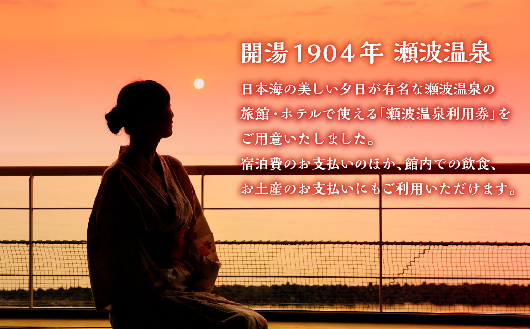 K20 瀬波温泉利用券（3,000円券×20枚）