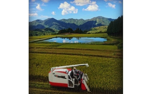 【令和7年産米】【定期便：4ヶ月連続でお届け】新潟県村上市岩船産 棚田米コシヒカリのパックごはん(150g×20個)×4ヶ月 1067137