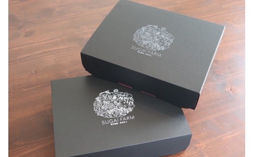 【数量限定】大粒いちご「越後姫」贈答用 12～15粒 約450g　1081005