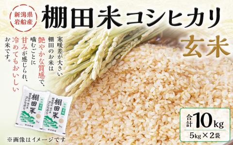 【令和7年産米】新潟県村上市岩船産 棚田米 コシヒカリ 玄米 10kg AB4041