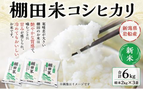 【新米受付・令和7年産米】NA4184 新潟県村上市岩船産　棚田米コシヒカリ6kg