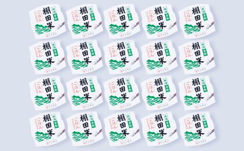 【令和7年産米】新潟県村上市岩船産 棚田米コシヒカリのパックごはん(150g×20個) AB4039