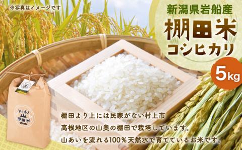 【令和7年産米】新潟県村上市岩船産 棚田米 コシヒカリ 5kg　A4038