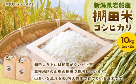 【令和7年産米】新潟県村上市岩船産 棚田米 コシヒカリ 10kg（5kg×2）　B4035