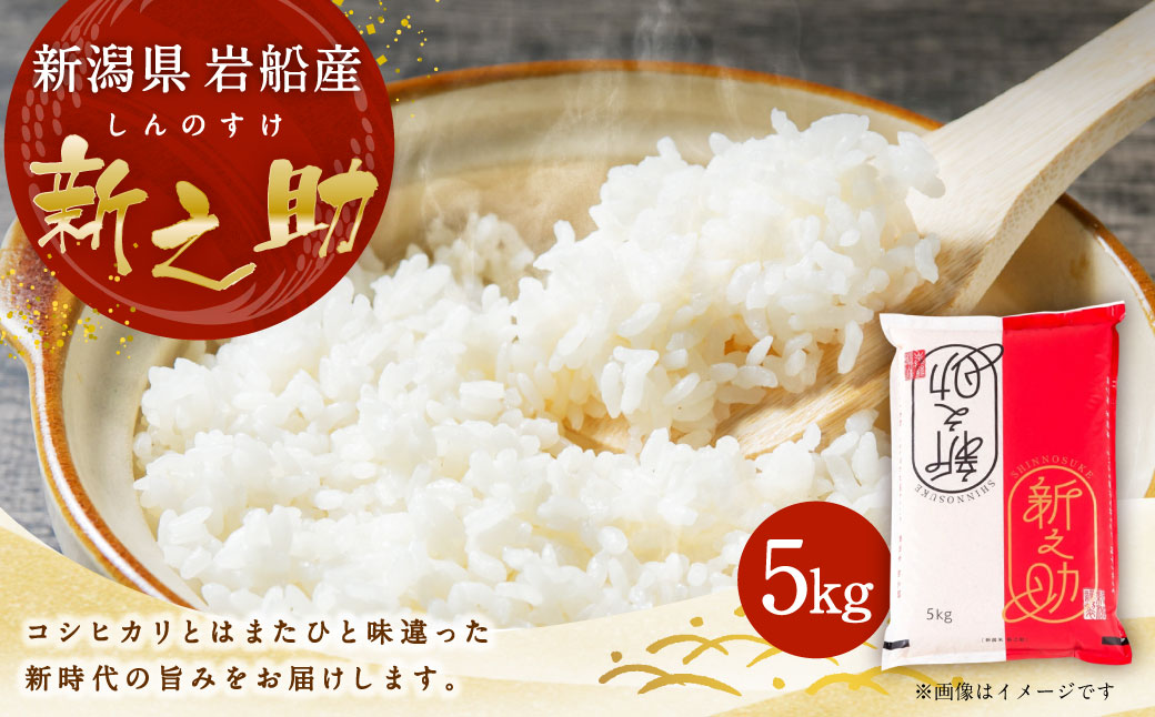 【令和7年産米】新潟県村上市岩船産 新之助 5kg　1013002