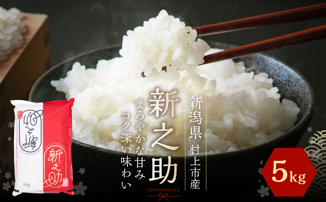 【令和7年産米】新潟県村上市岩船産 新之助 5kg 1027009