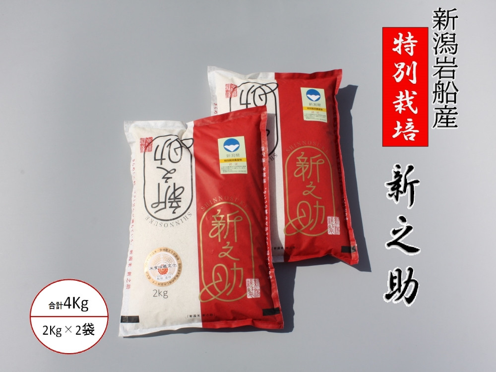 【令和7年産米】米の名産地 新潟県岩船産 特別栽培米 新之助 4kg（2kg×2袋） 1039014｜白米 食味鑑定士謹製 一等米 プレミアム米 新耕農産 ツヤツヤ 農家直送 低温倉庫保管 安心 安全 小分けサイズ こだわり