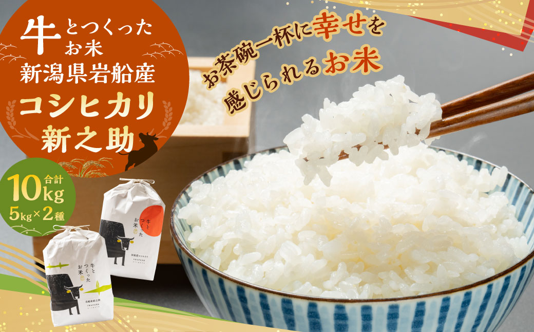 【令和6年産米】牛とつくったお米 新潟県岩船産 コシヒカリ 5kg・新之助 5kg