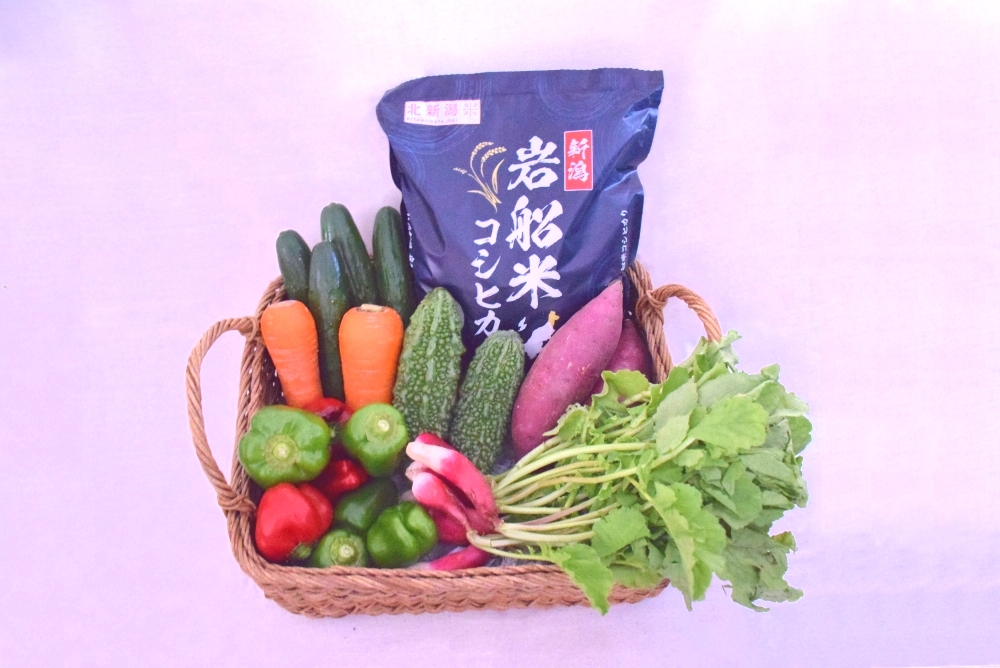 【令和7年産米】新潟県村上市岩船産コシヒカリ2kgと季節の野菜セット①　A4031