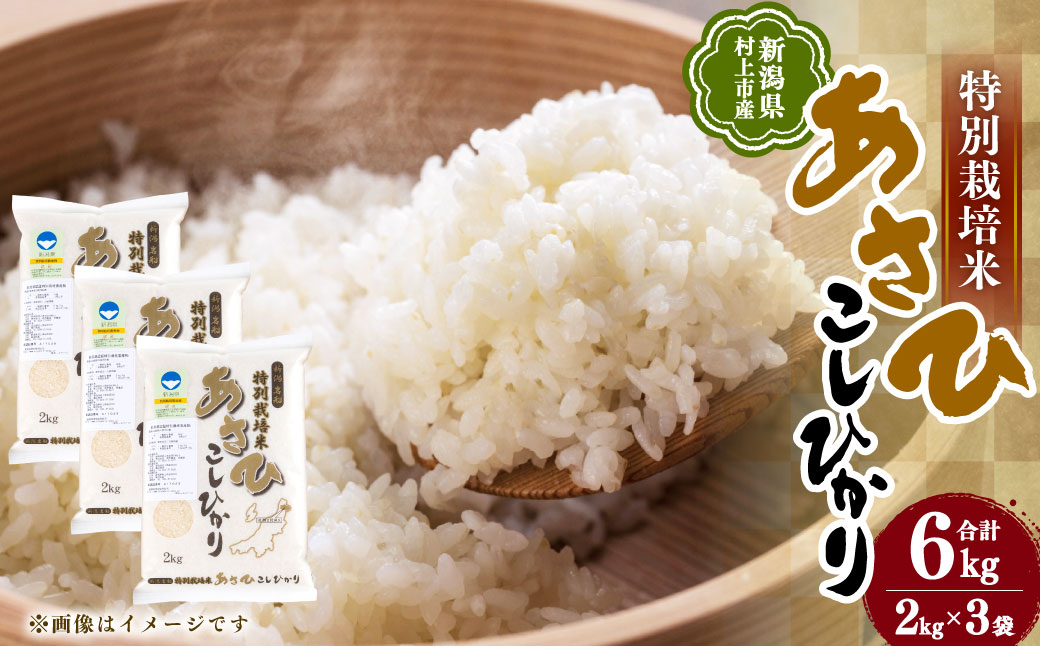 【令和7年産米】新潟県村上市産 特別栽培米 コシヒカリ 6kg  A4033