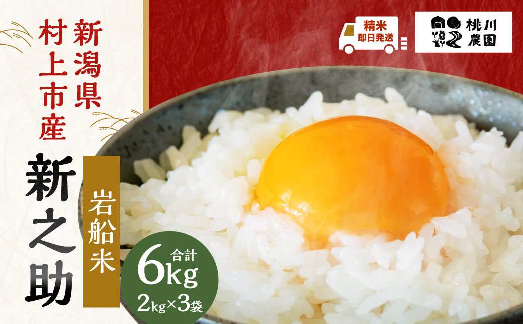 【精米即日発送・令和7年産米】新潟県村上市産  新之助6kg　A4100