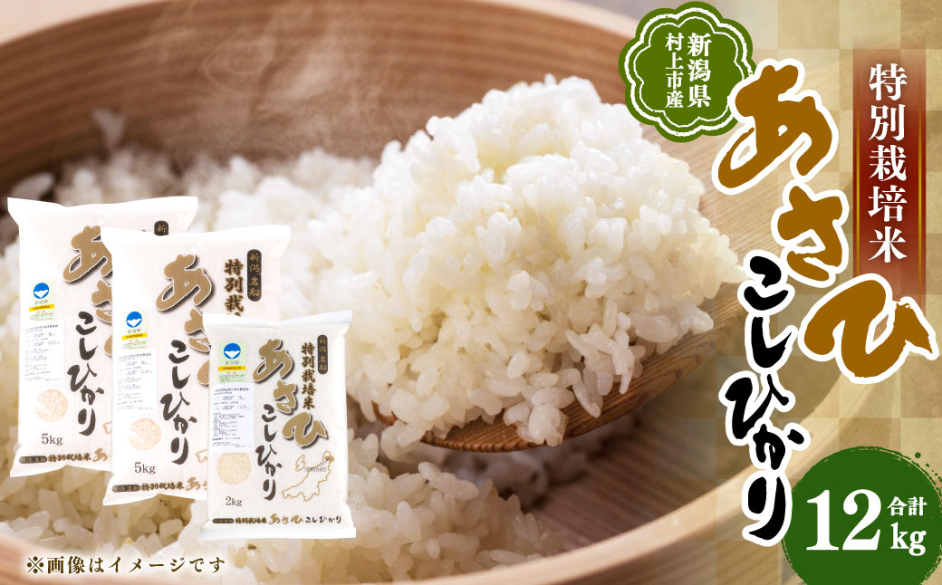 【令和7年産米】新潟県村上市岩船産 特別栽培米 コシヒカリ 12kg B4029