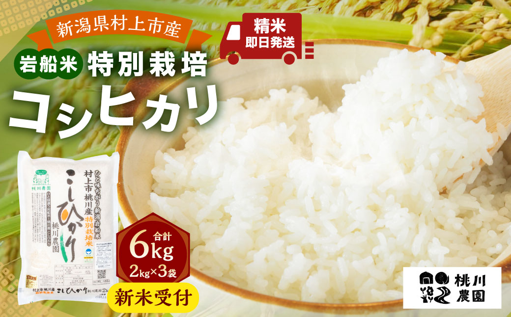 【新米受付・令和7年産米】 NA4209  新潟県村上市桃川産  特別栽培コシヒカリ6kg（2kg×3袋）