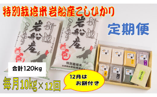 【令和7年産米】特別栽培米 新潟県岩船産 コシヒカリ 120kg（10kg×12ヶ月コース）＋お餅セット（限定月1回） 定期便 毎月 お米 白米 こしひかり きねつき もち 精米 村上市 1013014