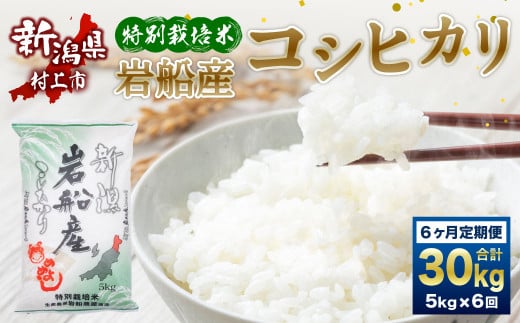 【令和7年産米】特別栽培米 新潟県岩船産 コシヒカリ 30kg（5kg×6ヶ月コース） 定期便 毎月 お米 白米 こしひかり 精米 村上市 1013012