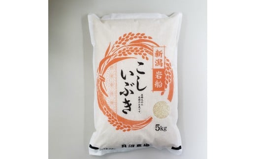 【令和7年産米】 こしいぶき 白米5kg（5kg×1） 新潟県村上市岩船産　1067101