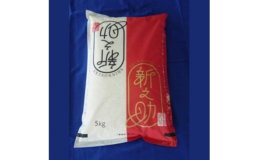 【令和7年産米】新潟県村上市 新之助5kg　1033005