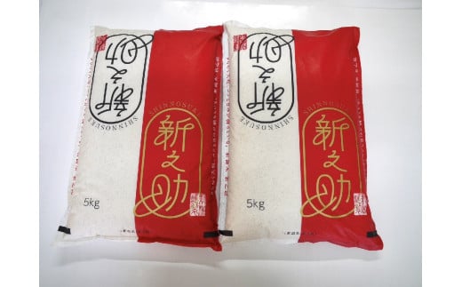 特別栽培米 新潟県村上市岩船産 新之助 10kg