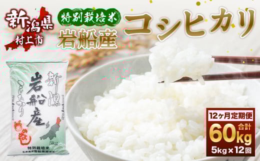 【令和7年産米】特別栽培米 新潟県岩船産 コシヒカリ 60kg（5kg×12ヶ月コース） 定期便 毎月 お米 白米 こしひかり 精米 村上市 1013013