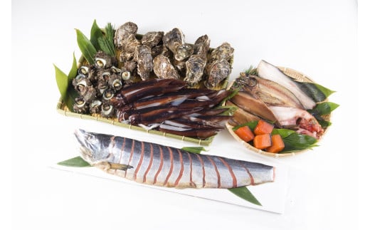 F4021 【年3回お届け】【2月より順次発送】旬の地魚と手造りおまかせ干物と塩引鮭半身のセット