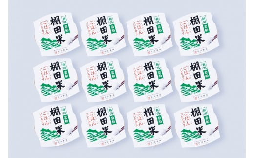 【令和7年産米】【定期便：4ヶ月連続でお届け】新潟県村上市岩船産 棚田米コシヒカリのパックごはん(150g×12個)×4ヶ月 1067131