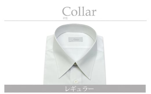 【国内縫製】オーダーシャツ工場で作る綿100％メンズ用ドレスシャツ「LLサイズ」衿型レギュラー 1080006