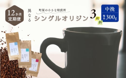 【12ヶ月定期便】シングルオリジンコーヒー 100g × 3品種（中挽き）