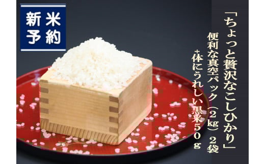 【新米受付・令和7年産米】NA4170 【新潟県岩船産】特別栽培米・ちょっと贅沢なこしひかり4kg＆古代米50ｇセット