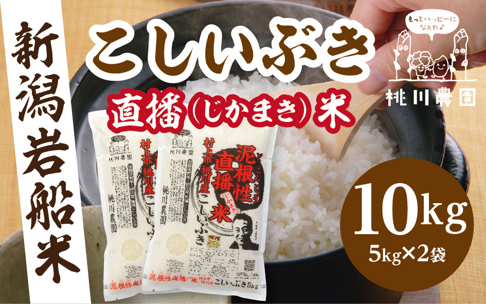 【令和7年産米】新潟県村上市桃川産　直播米　泥根性こしいぶき10㎏ 1040004