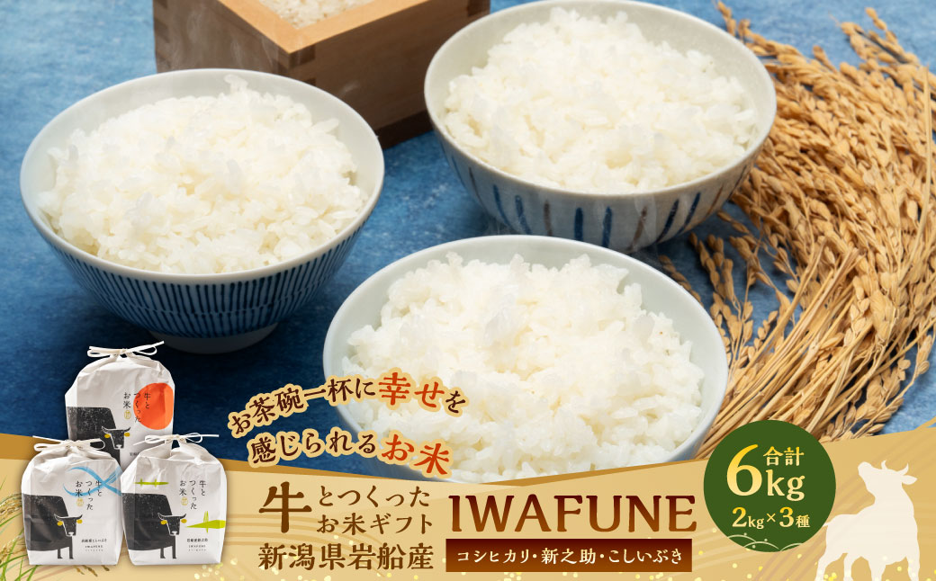 【令和6年産米】牛とつくったお米 食べ比べセット「IWAFUNE」計6kg