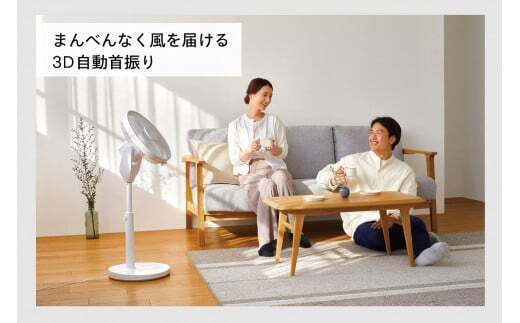 【換気】サーキュレーション扇風機 3D (EF-E951W)