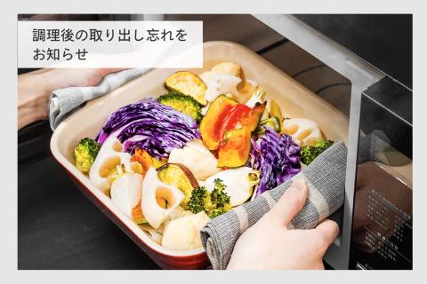 ibistory ミラーガラスフラット電子レンジ (DR-4259B)