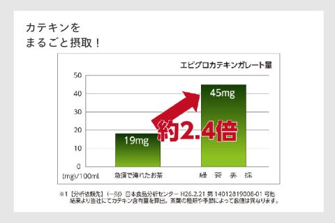 お茶ひき器 緑茶美採 (GS-4671DG)