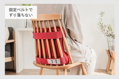 ホットシートマッサージャーHOT BEAT (レッド)(EM-2538R)