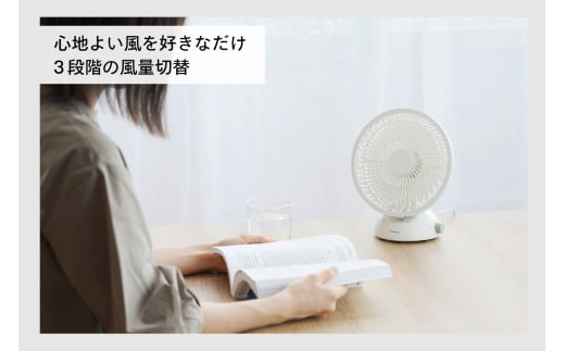 USB給電式デスクファン (EF-4984W)