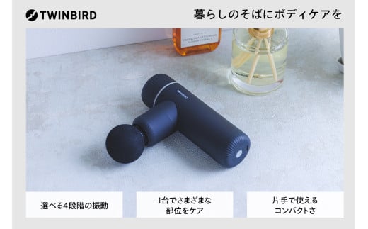 ボディケアガン(SH-2685B)