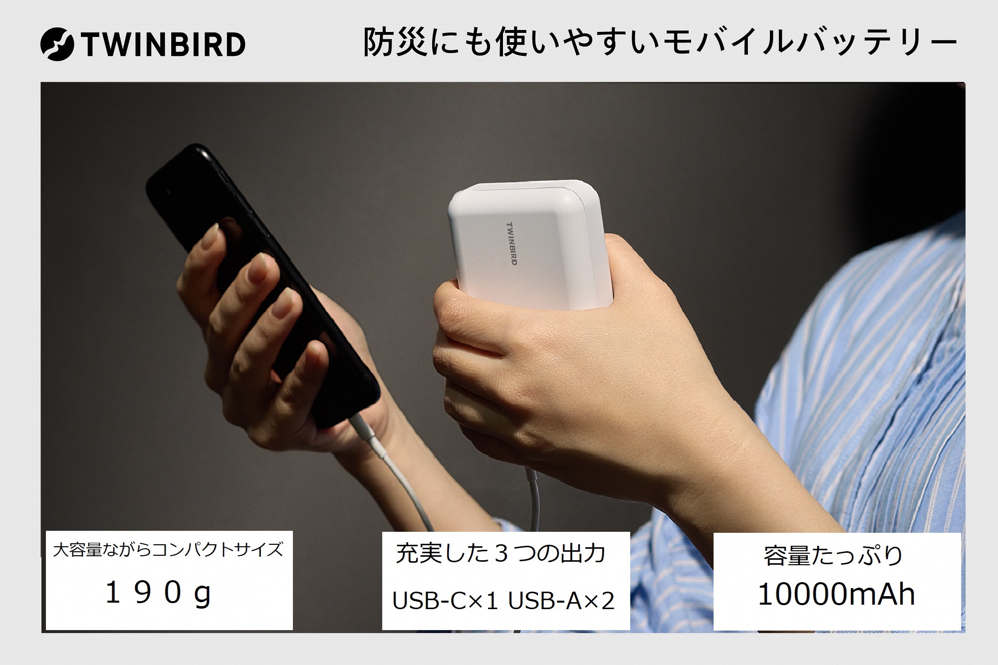 モバイルバッテリー[10000ｍAｈ](AV-9110W)