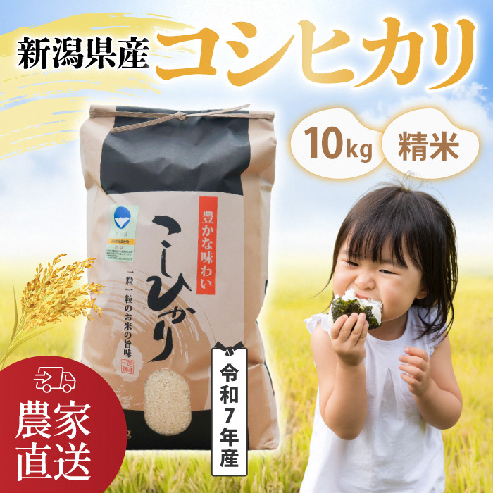 【令和7年産・コシヒカリ】南波農園の特別なお米 精米10kg／新潟県燕市産