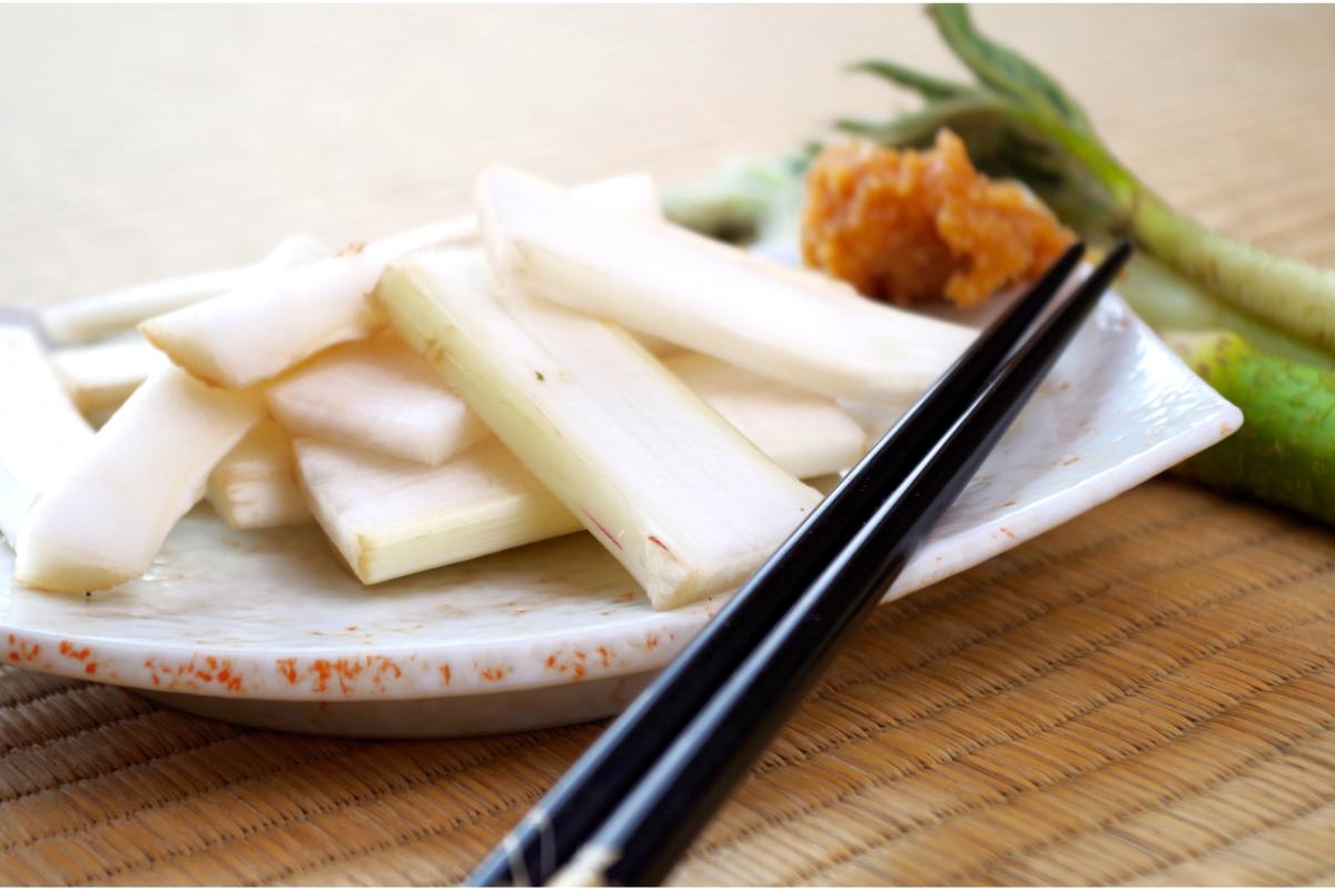 【4月中旬より発送】天然山ウド 山菜 天ぷら 酢味噌 あえ きんぴら 春の味覚 産地直送 国産 新潟県 妙高市