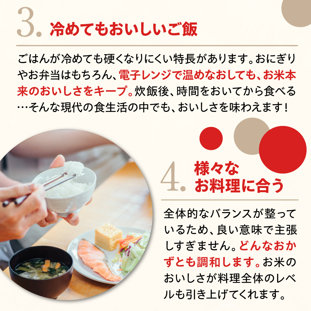 令和7年産 新潟県上越妙高産 新之助 20kg【順次発送】