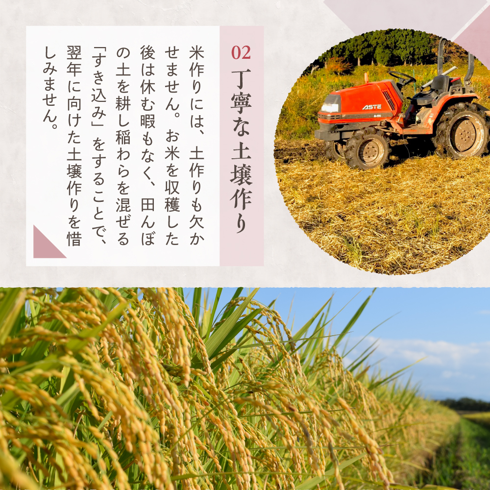 令和7年産 新潟県妙高産コシヒカリ10kg【順次発送】