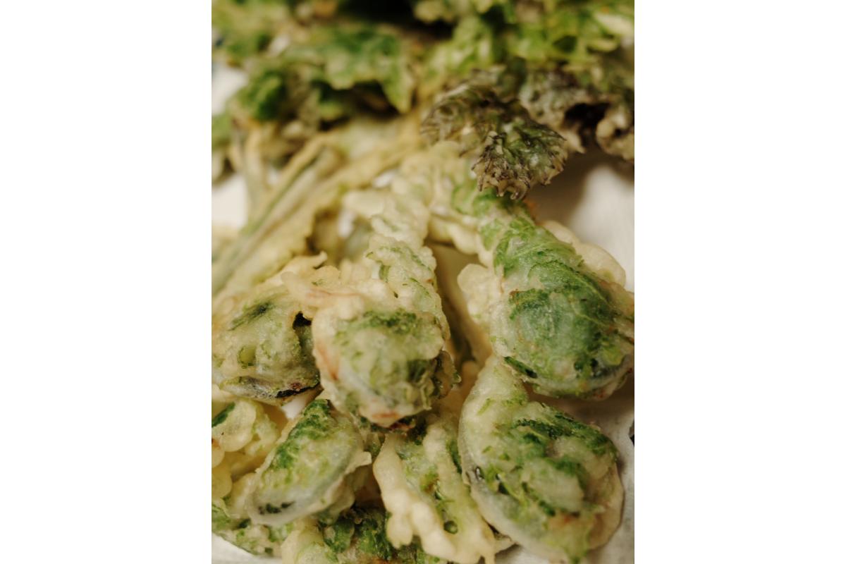 【3月下旬より発送】天然こごみ 山菜 天ぷら ごま和え 春の味覚 産地直送 国産 新潟県 妙高市