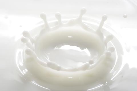 新潟県妙高発酵ジェラート5個セット（かんずり、みそ、あまざけ、コーヒー）