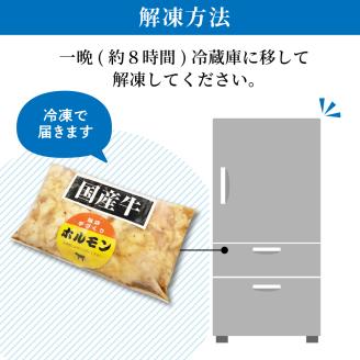 お肉屋さんの味付けホルモン