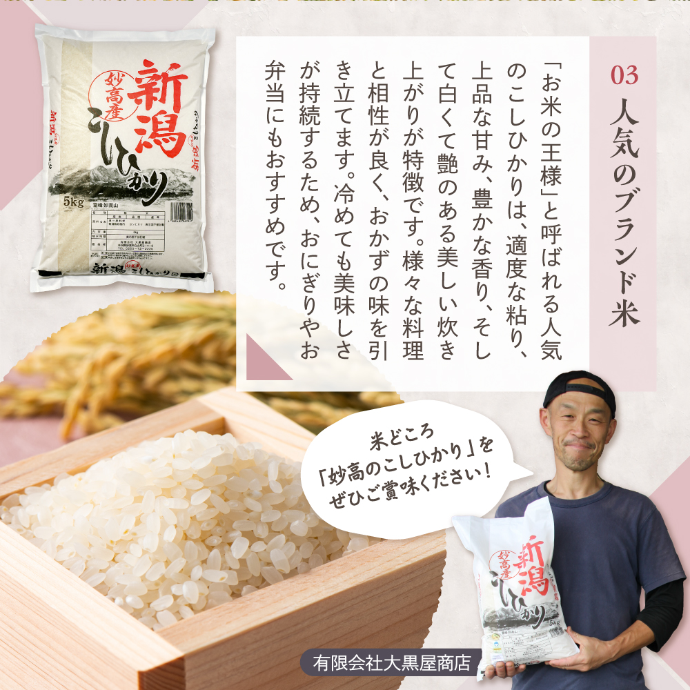 令和7年産 新潟県妙高産コシヒカリ10kg【順次発送】