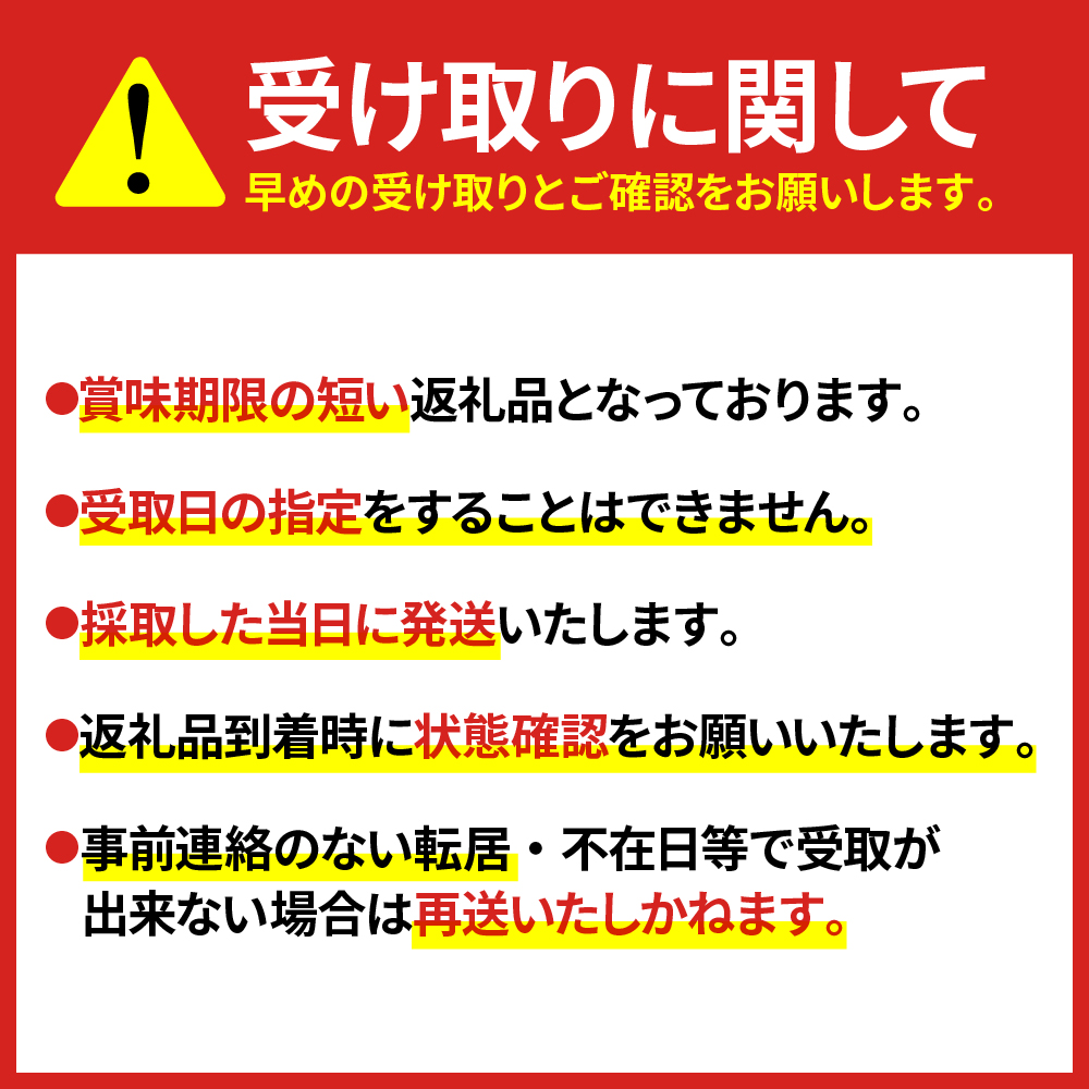 【4月上旬より発送】雪国山菜 コシアブラ 200g×1パック 山菜 採れたて 国産 新潟産 冷蔵便 山菜の女王 こしあぶら 春 天ぷら おひたし パスタ 新潟県 妙高市